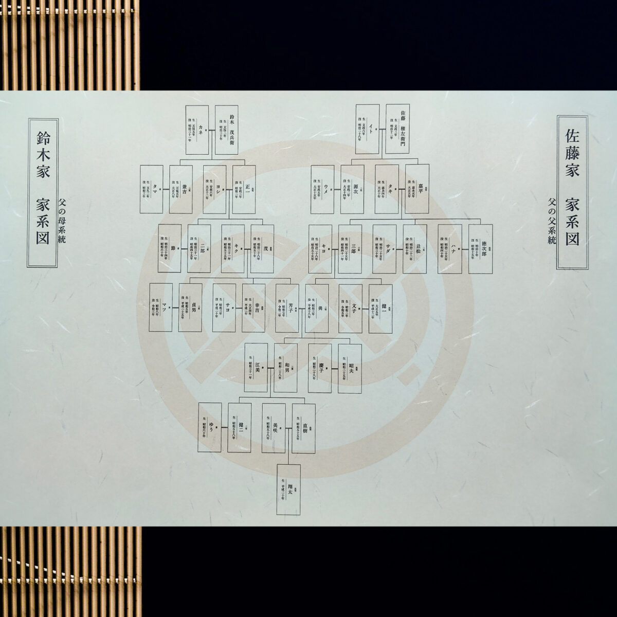 家系図納品セット全体